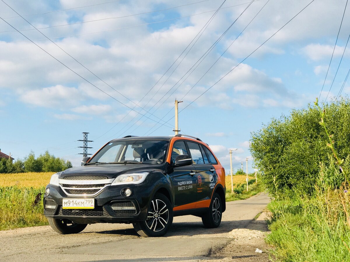 Снимок Каршерского Кота