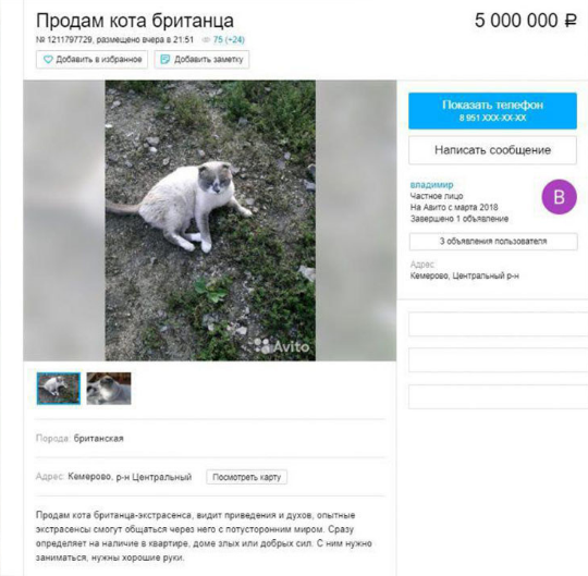 Скриншот с сайта avito.ru