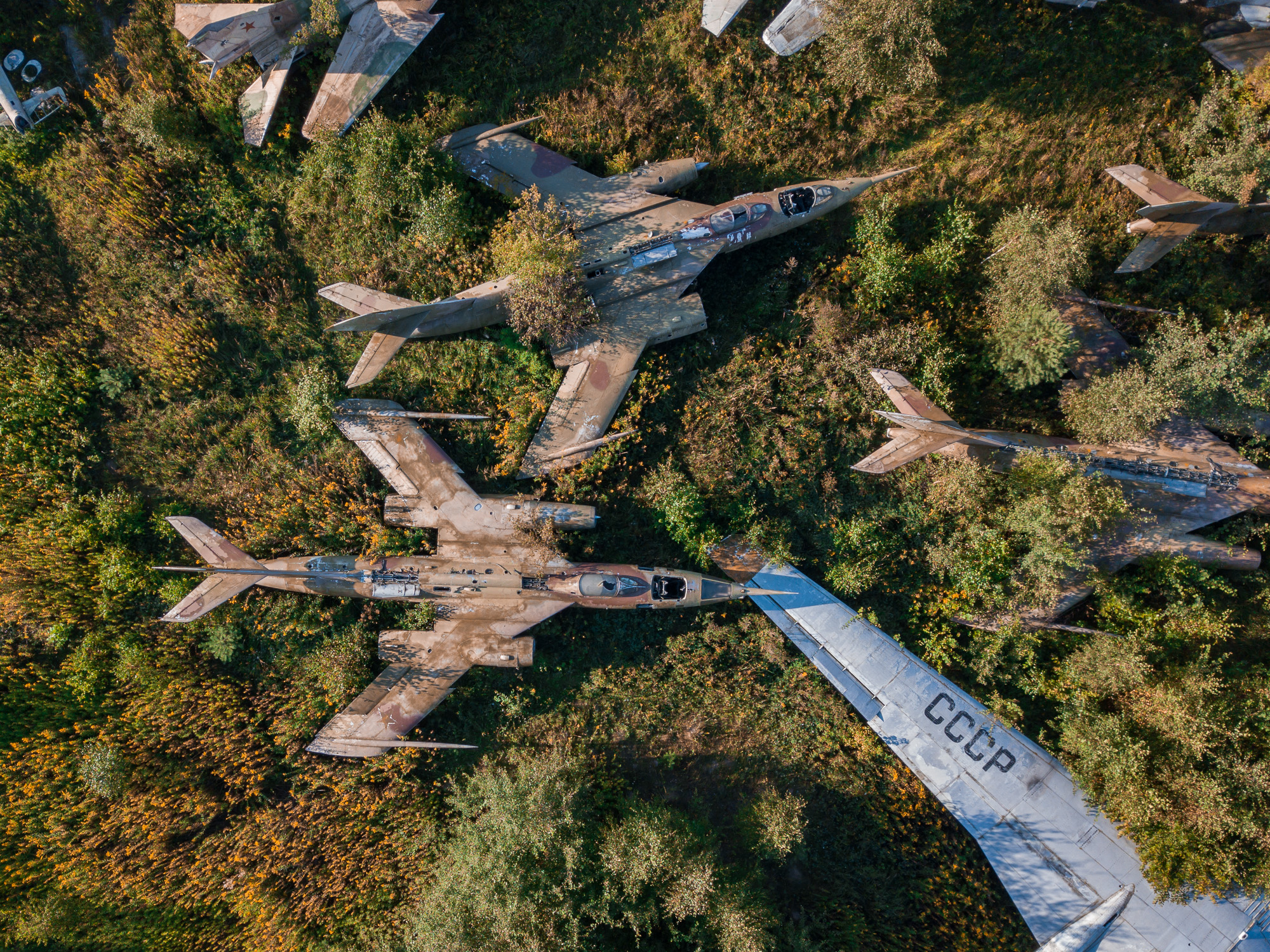 Нашёл редкие сверхзвуковые  Як-28 заросшие деревьями ?️‍✈️?