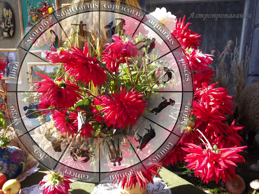 Коллаж Нины Стрелковой для канала «Астропропаганда». 