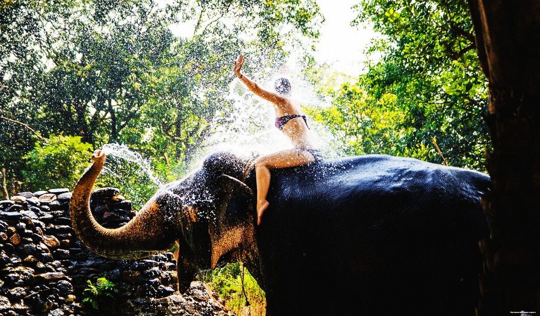Обязательно покатайтесь на слоне. Это увлекательно!