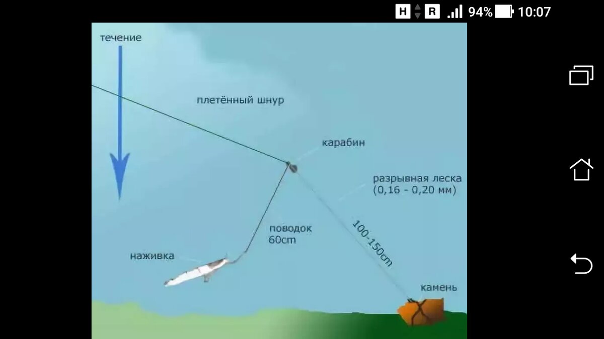 На что ловить сома с лодки