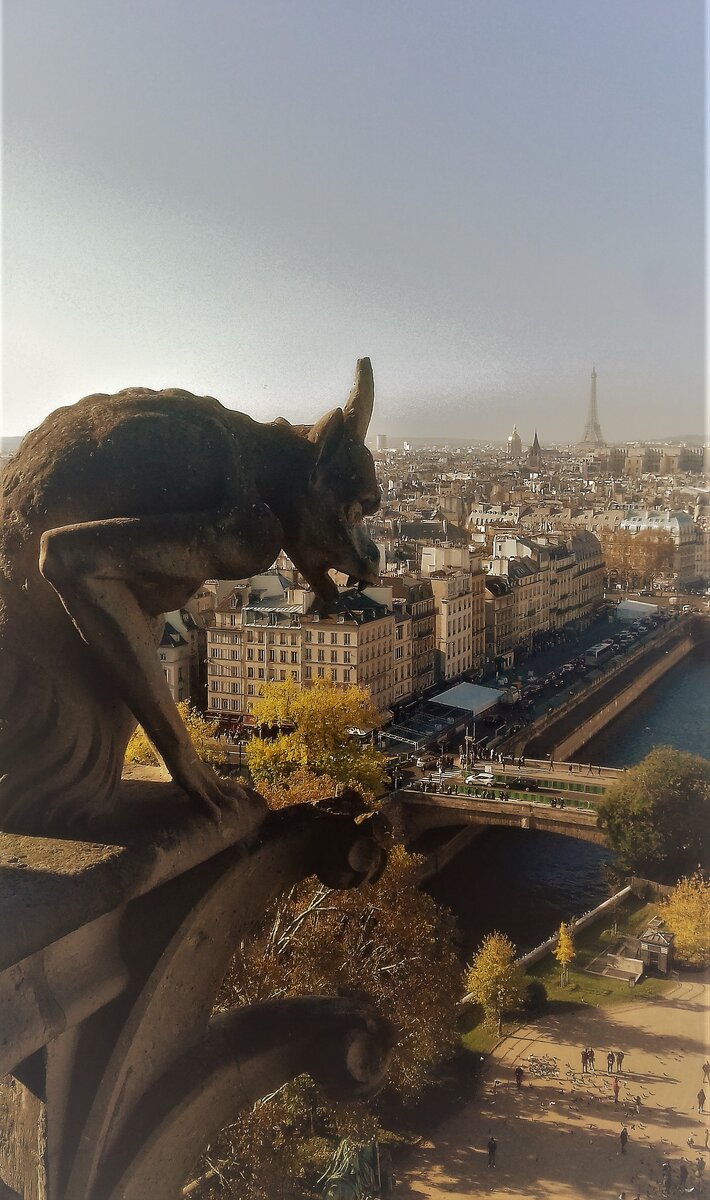 Самый растиражированный кадр с химерой в вашей коллекции появится.