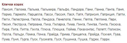 Источник: http://www.mycats.ru/content/view/848/234/
