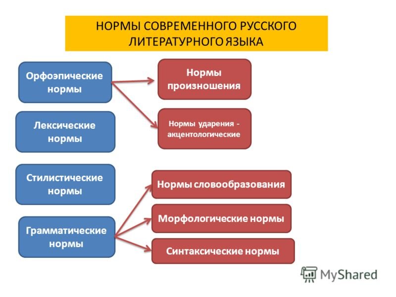 Это образец единообразного общепризнанного употребления элементов языка