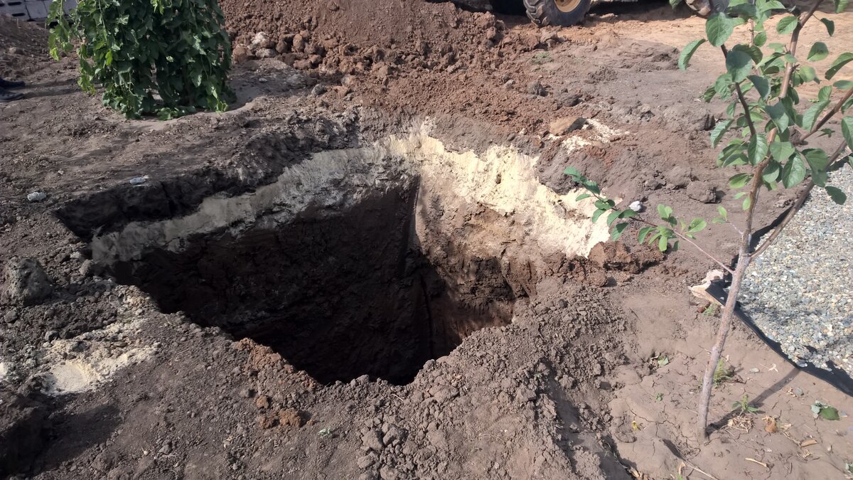 Тракторист хорошо сработал, не повредил молодые деревья. 