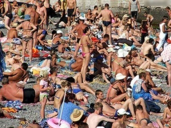 Ну что, нашли пушистого?