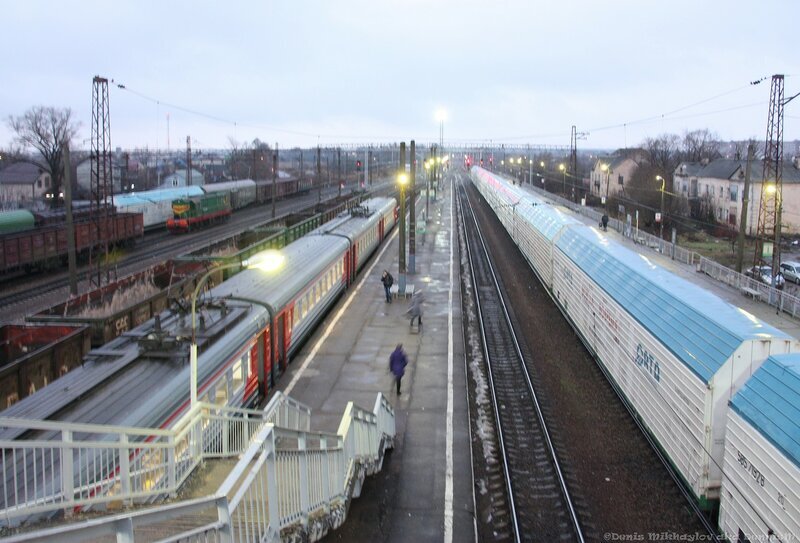 Поезд михнево