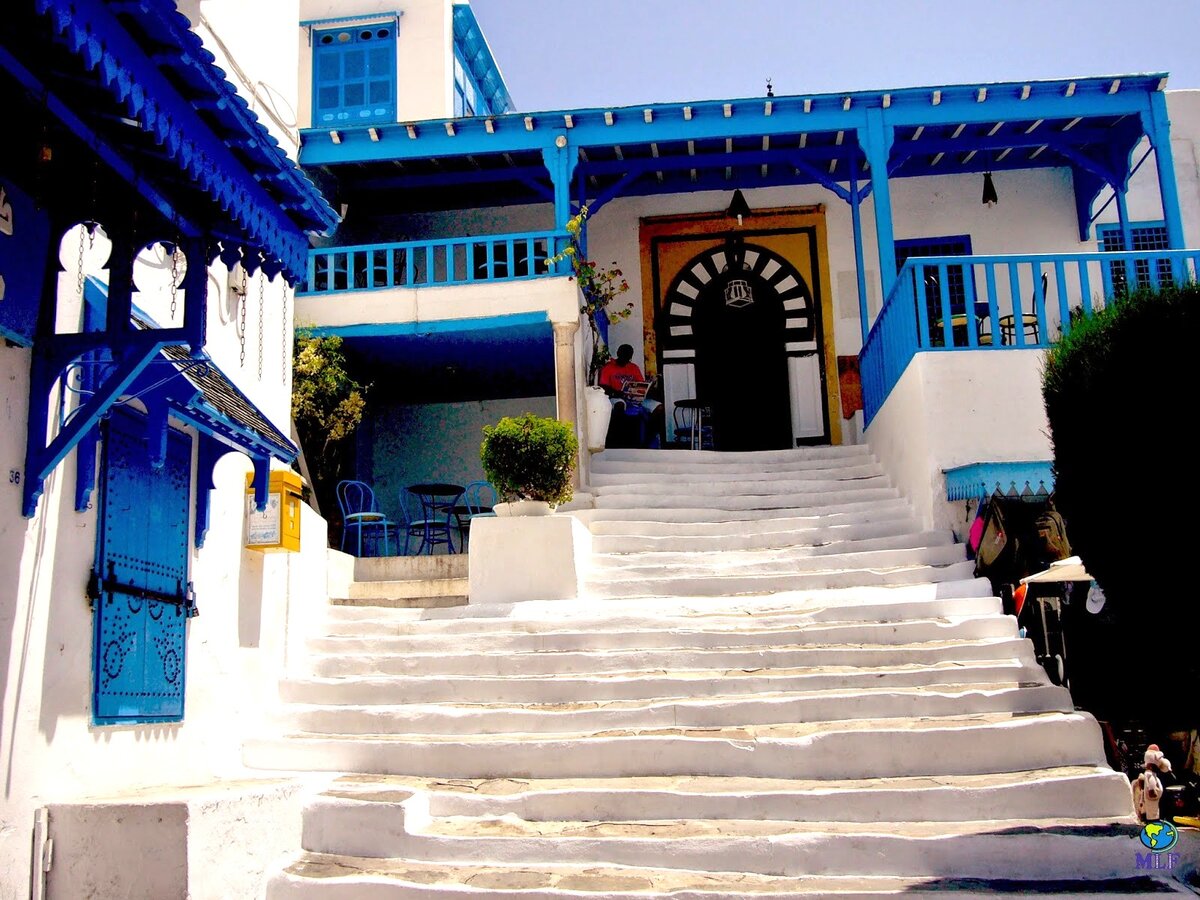 Тунис: кто решил выкрасить все дома в Сиди-бу-Саиде в бело-голубой цвет? |  СМАЧНЫЕ ПУТЕШЕСТВИЯ | Дзен
