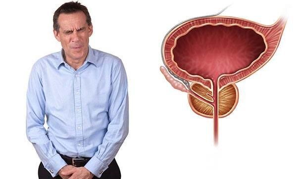 Фото из открытых источников www.yandex.ru