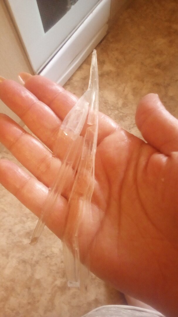 Позвоночники кальмаров.