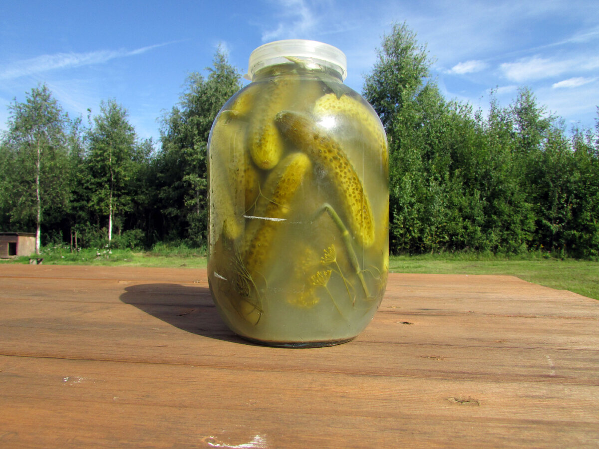 Фото Самогон Саныча