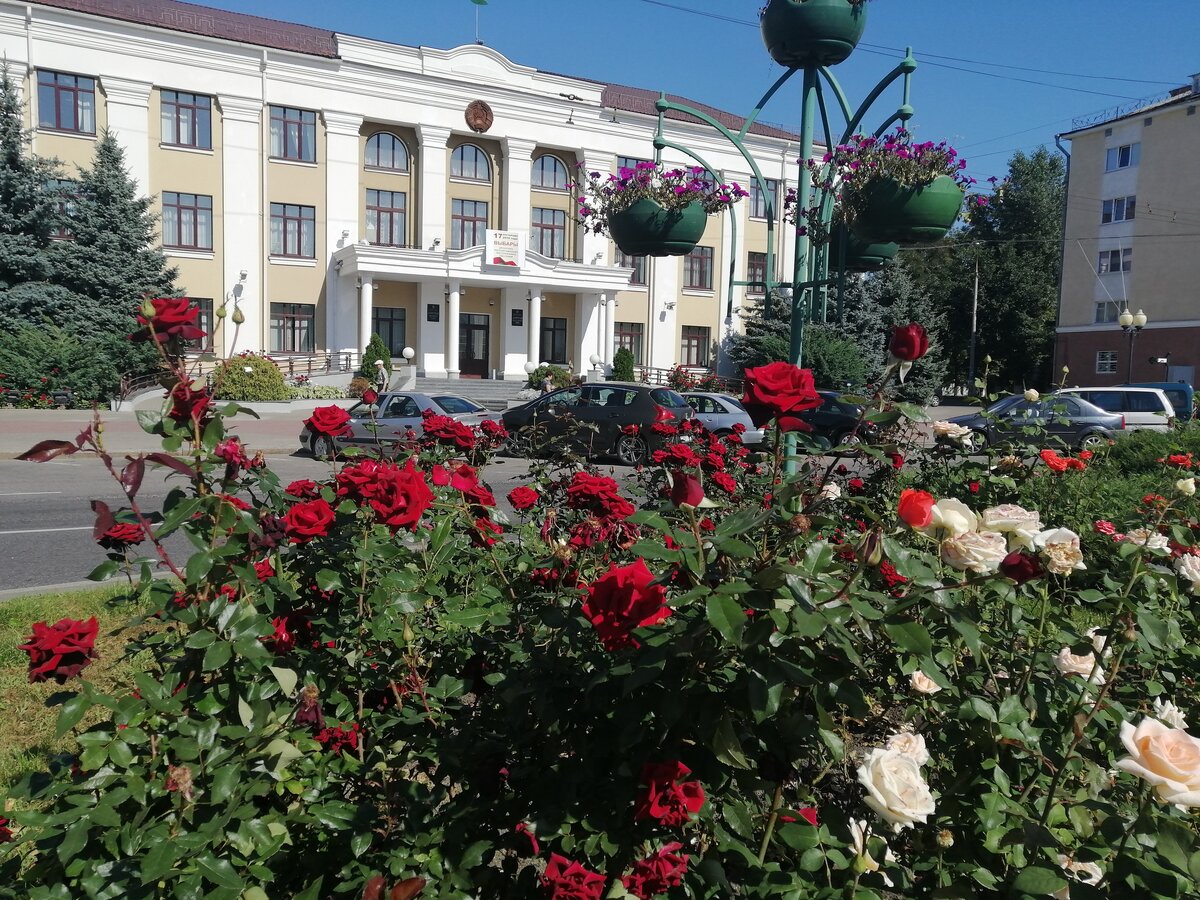 Гомель