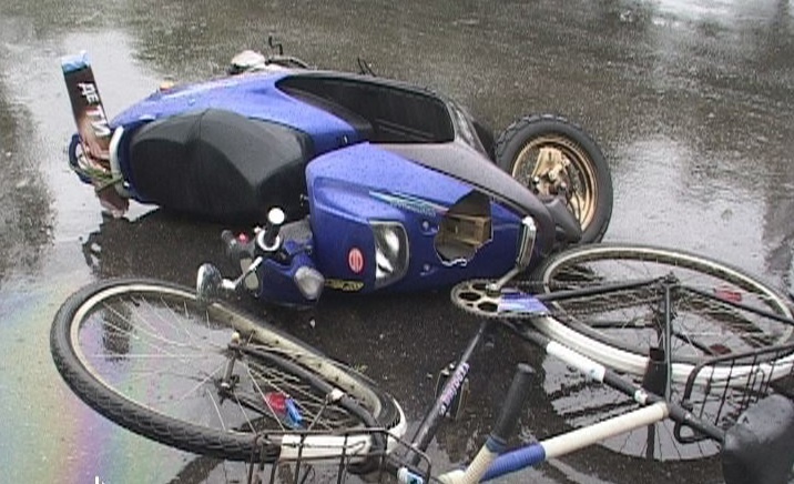 Фото из свободных источников.