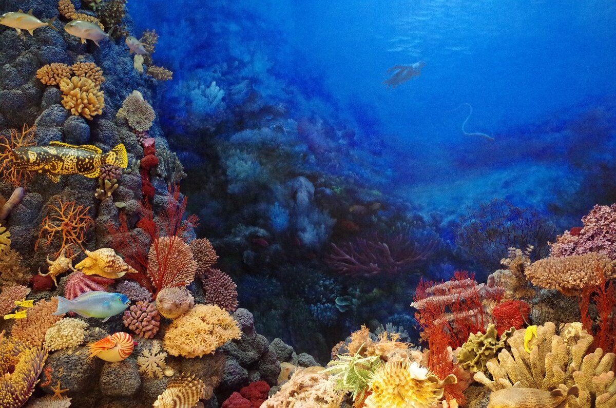 https://cdn.pixabay.com/photo/2015/08/19/04/06/harbour-895507_1280.jpg
