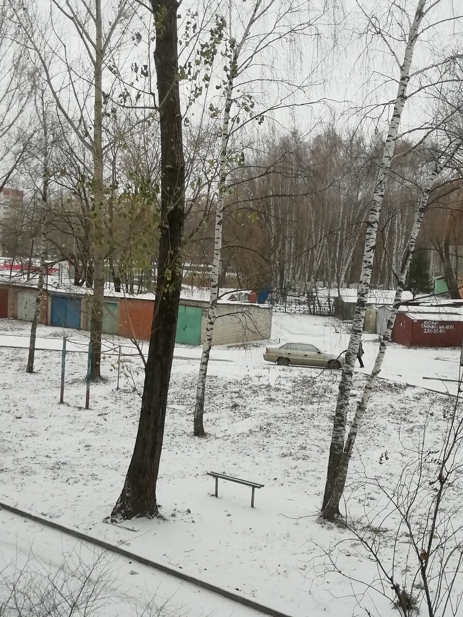 Вот и до нас дошёл снег... 