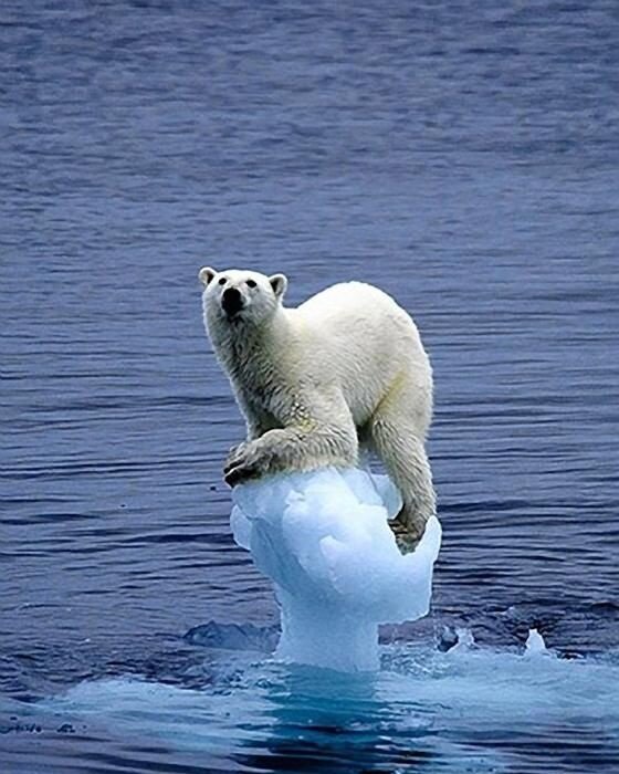 Источник: Яндекс.Картинки