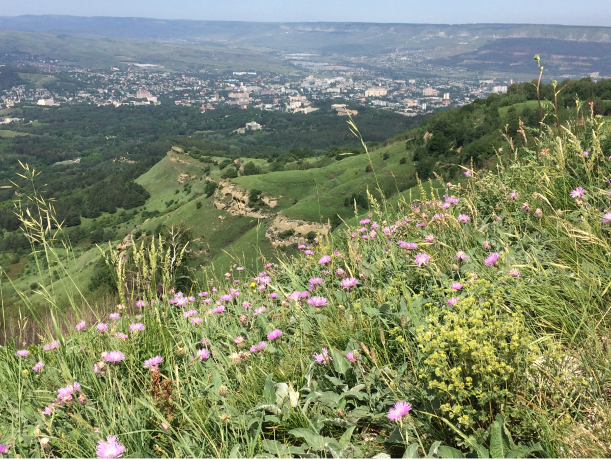 Тропы в кисловодске. Кисловодск терренкур на Малое седло. Гора красное солнышко Кисловодск. Кисловодск, склон. Верхняя точка парка Кисловодска.