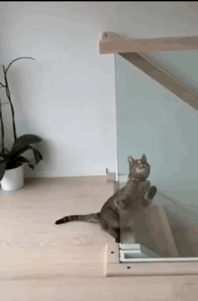 Нажмите на треугольник и картинка задвигается