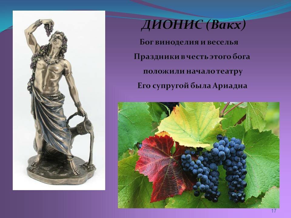 из истории виноделия