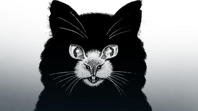 Кого видишь первым, кота или мышь? 