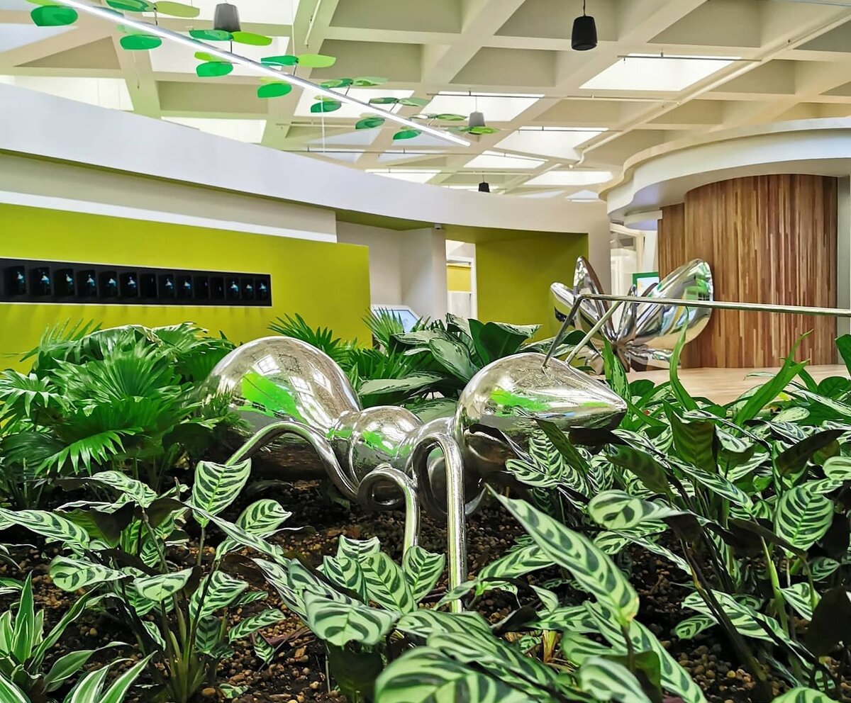 В целом красота