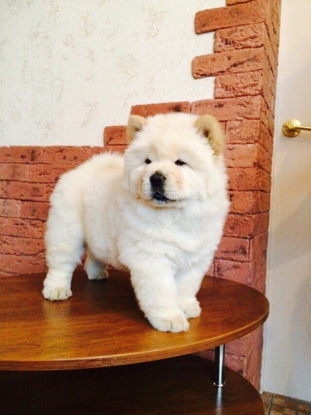 Решение принято