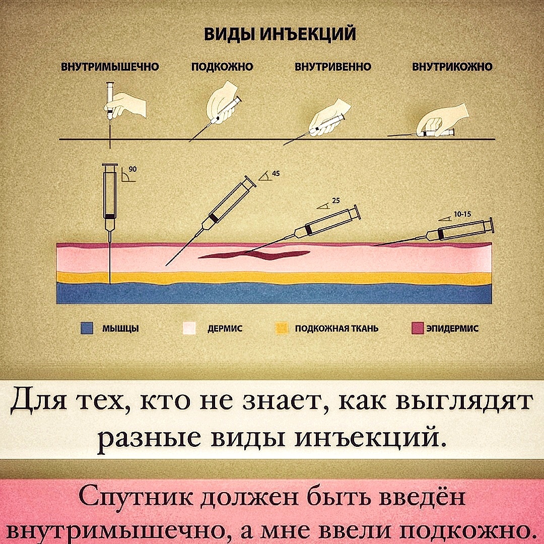 Разница прививок. Изображение из интернета.