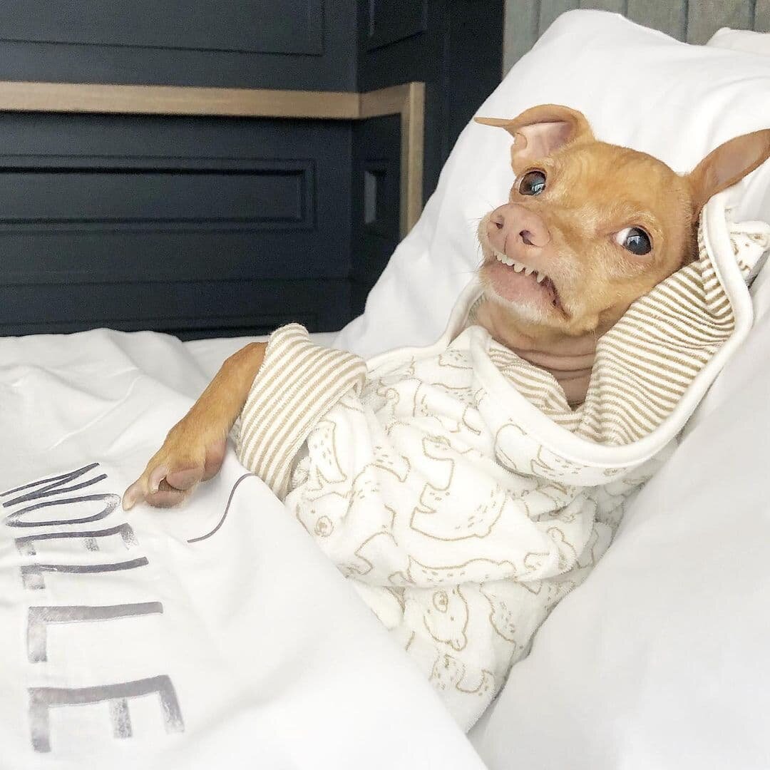 Фото: @tunameltsmyheart