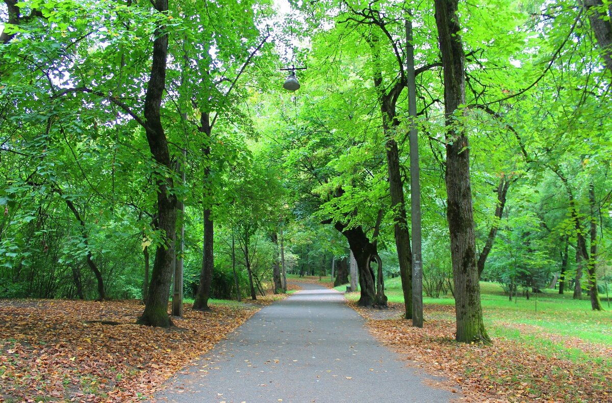 Фото: © Карина Иванова