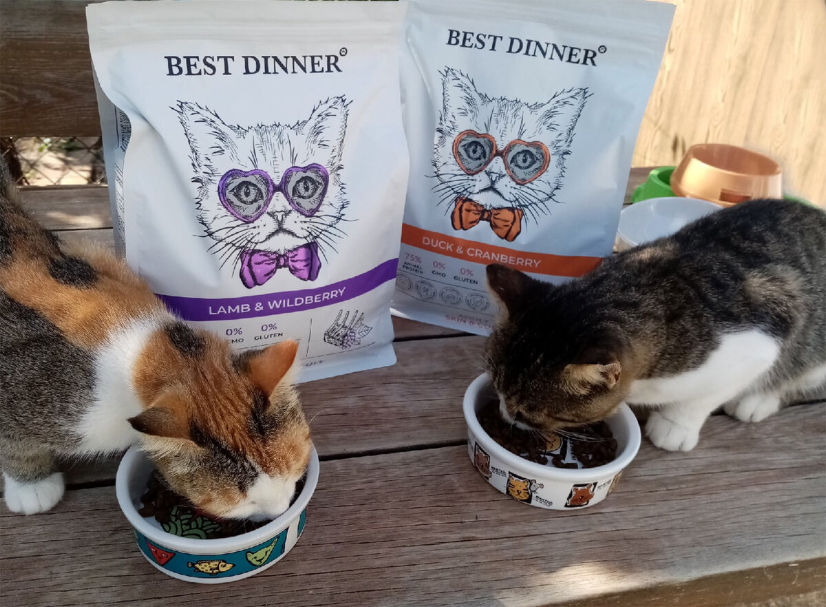 Корм Best Dinner Adult Sterilised Lamb & Wildberry и Adult Cat Duck & Cranberry.
