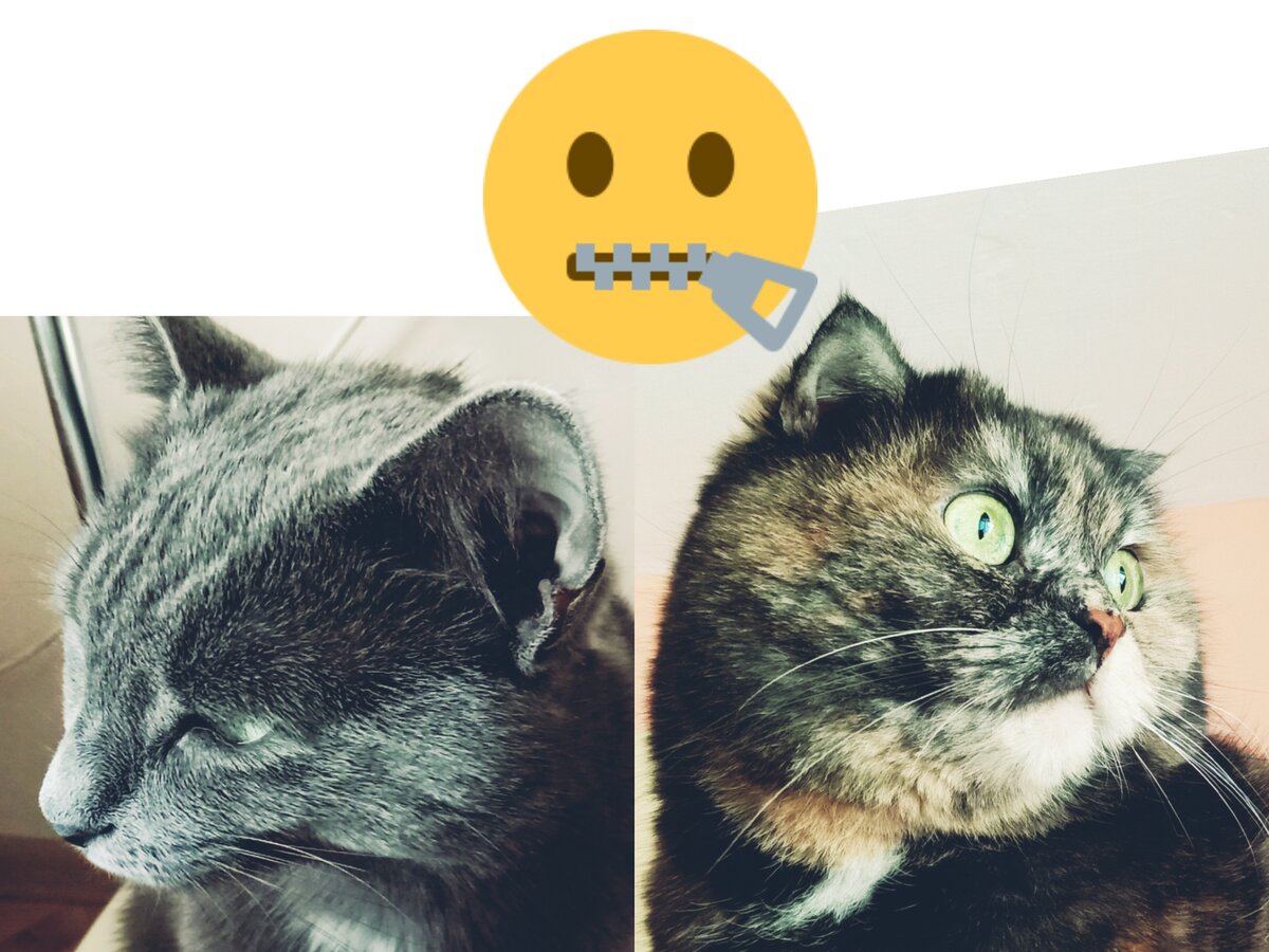 Да чего с ней разговаривать-то