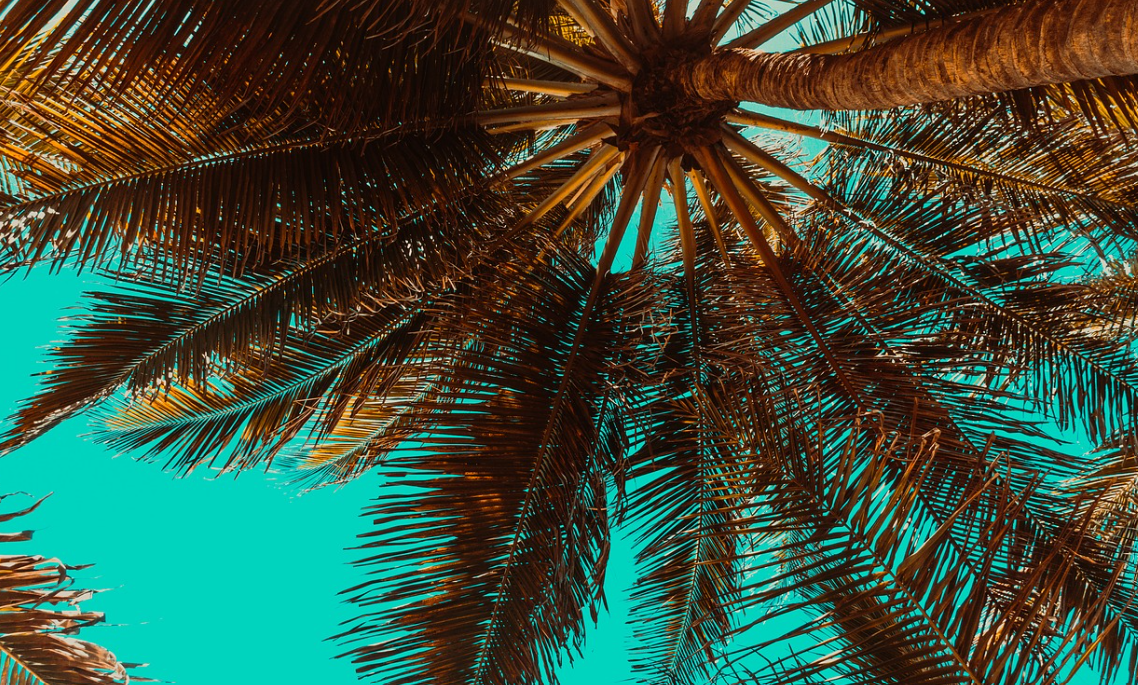 я бы тоже хотела на море поискать себя. фото для иллюстрации https://pixabay.com