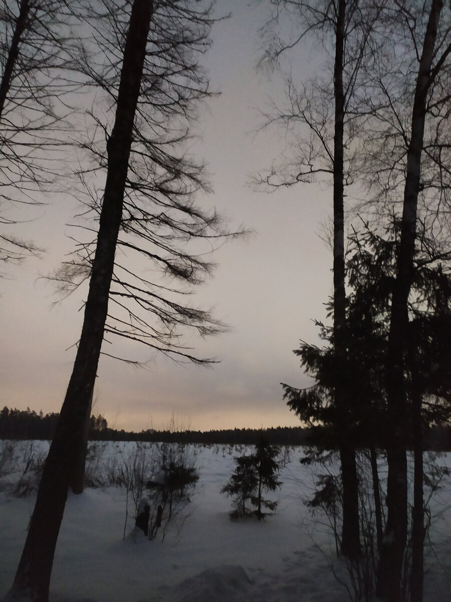 Персиковый закат