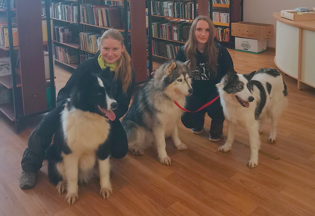 Наши хвостатые герои слева направо: Кекс, Тара и Ряженка