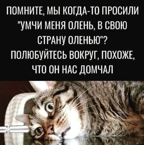 картинка из интернета