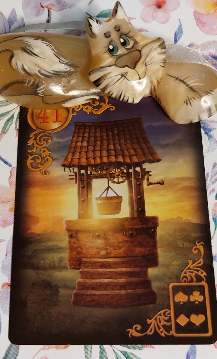 Колода: "The Shaman's Dream" by Colette Baron-Reid