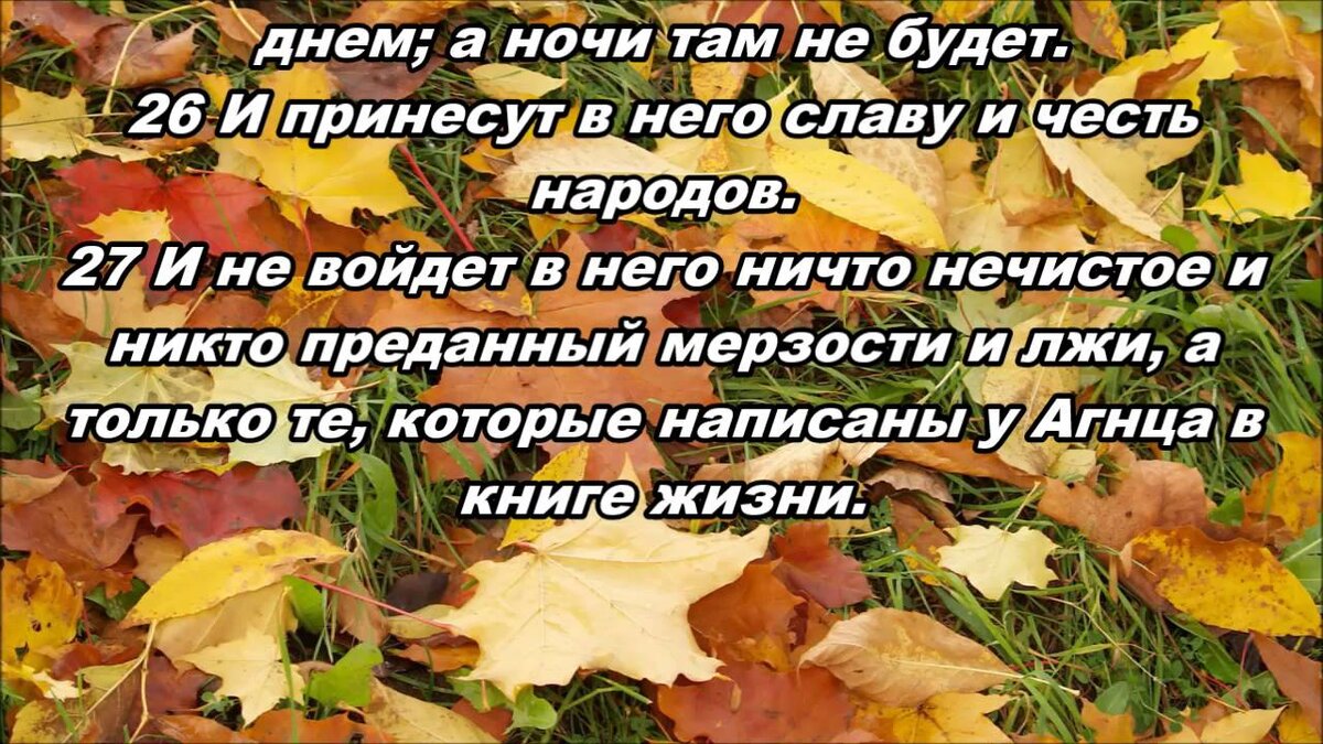 Что ждёт душу после смерти, и почему нужно готовиться к переходу в иной мир  на протяжении земной жизни? | Христианство и смысл жизни | Дзен