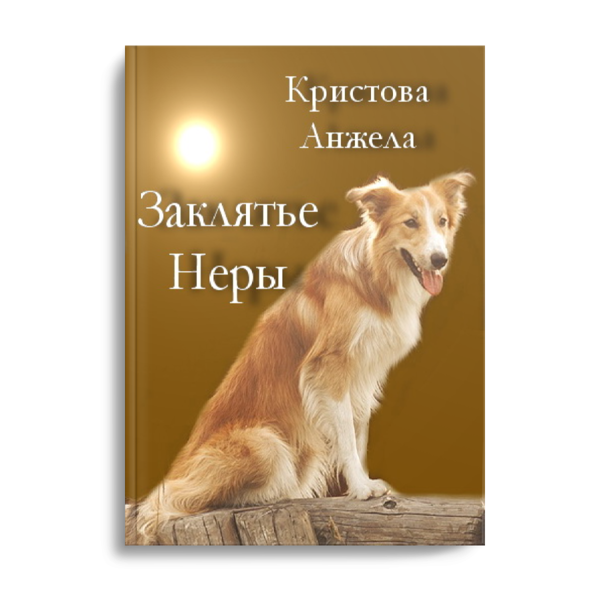 Обложка книги. Название скоро изменится на одну букву и будет новая обложка.