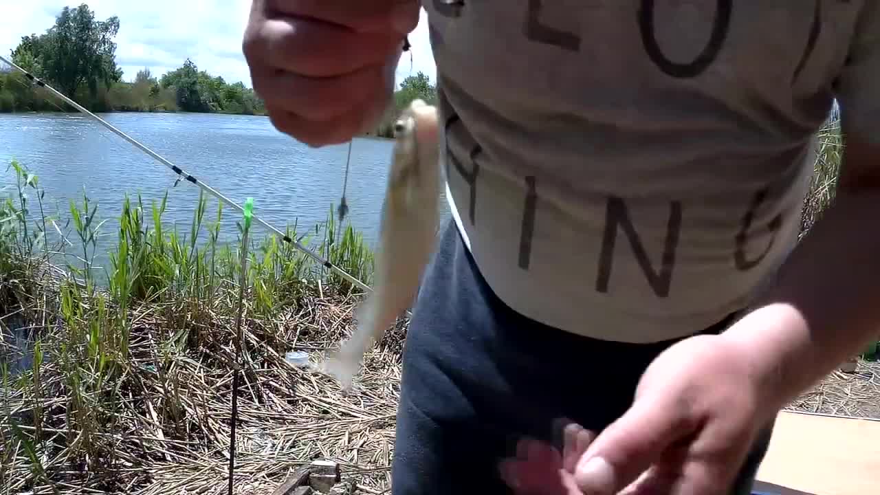 Ловля окуня деревня сторожно. Новочеркасское рыбалка. Рыбалка новочеркасское. Новочеркасское рыбалка. Теплый канал новочеркасск рыбалка 2022.