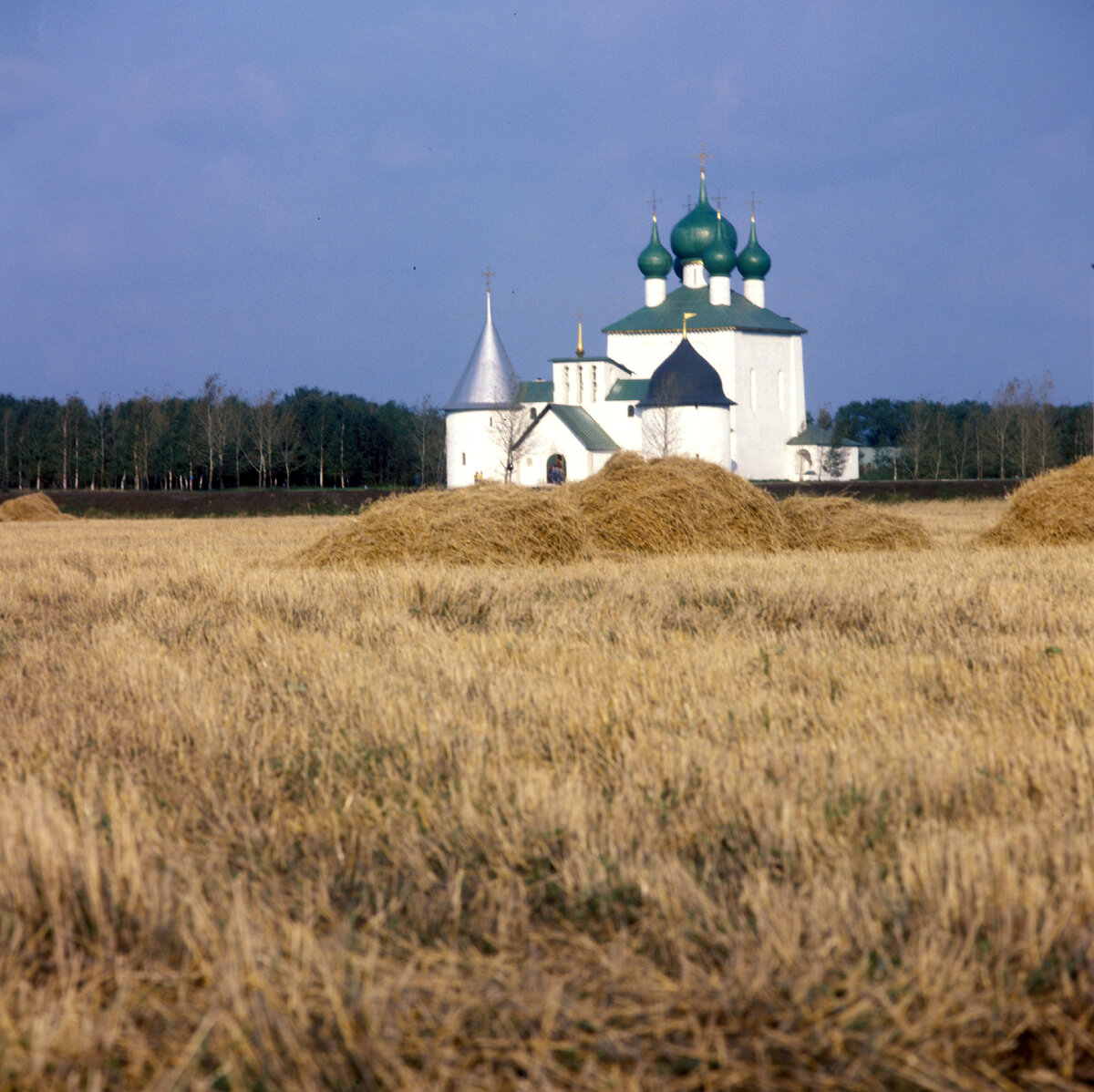 Фото: Yuriy Kaver/Russian Look/Globallookpress