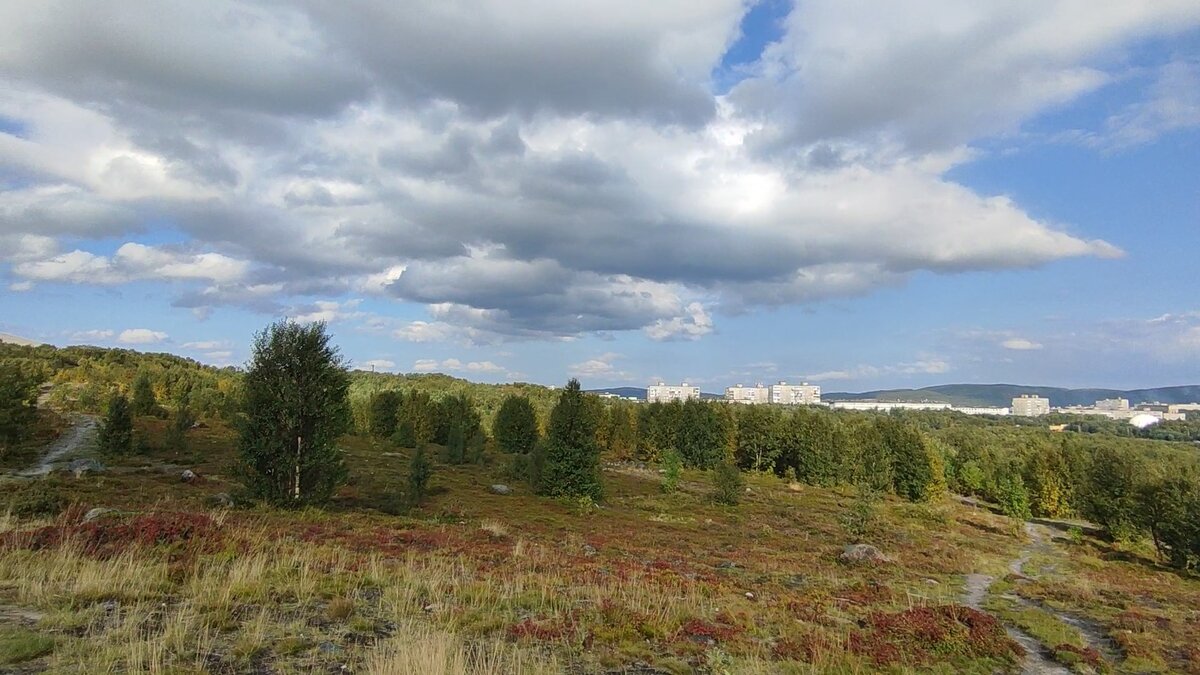 из мурманска обо всем