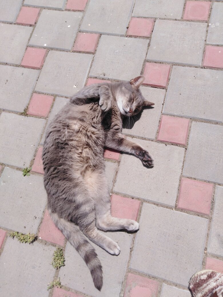 Это Шурик, питерский мажор