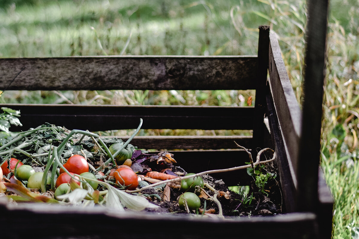    Фото: Eva Bronzin / pexels