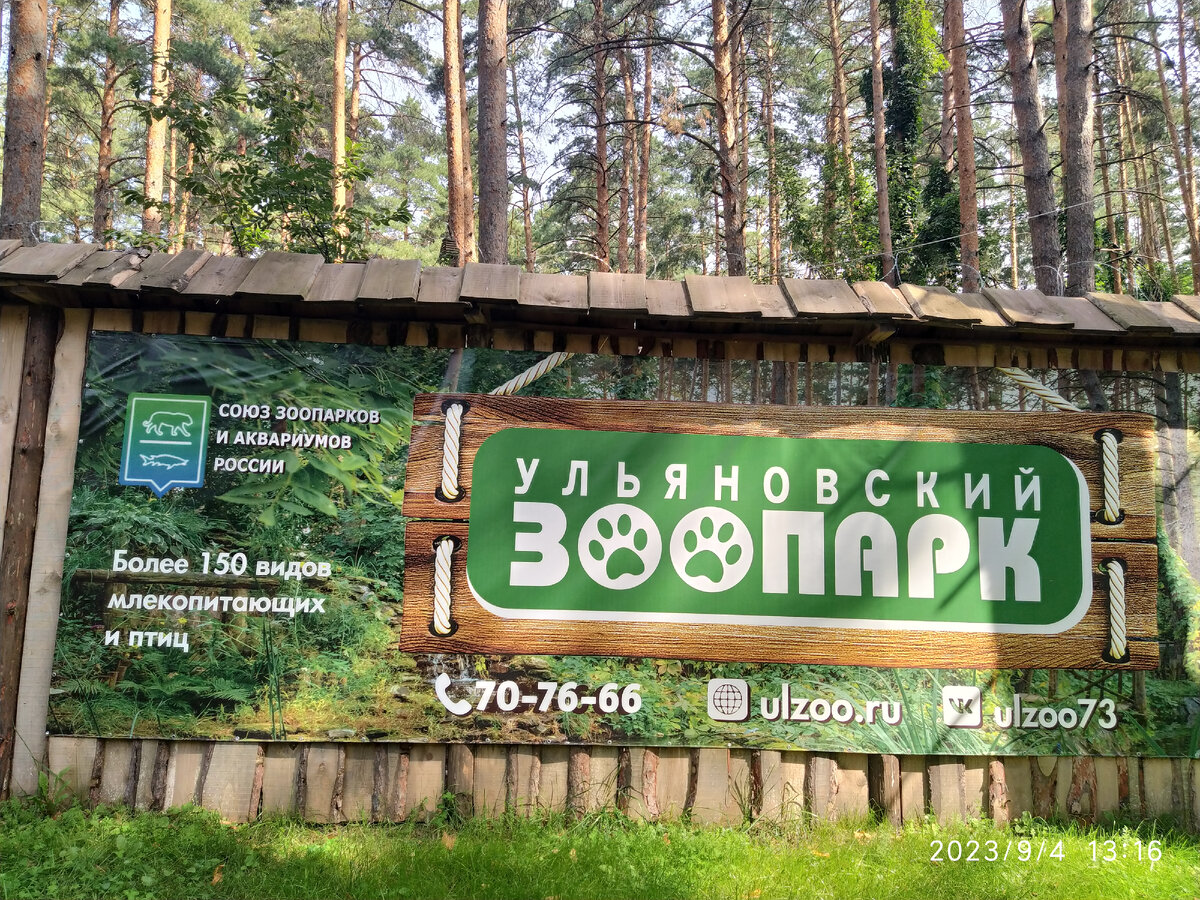 Ульяновский зоопарк расположен в сосновом
бору на площади более 6 га.  Ульяновский зоопарк - это душевное место,
где встречаются люди и животные.