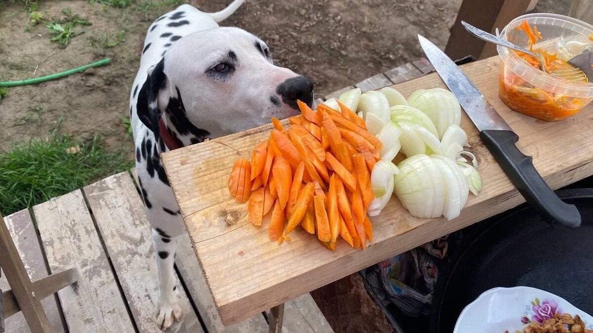 Джефф лезет к продуктам