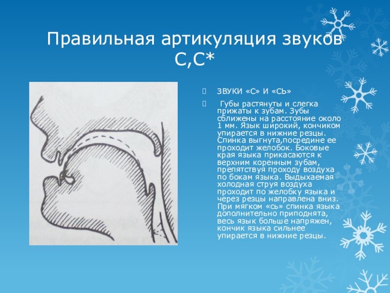 Артикуляция что это. Артикуляционный уклад звука с. Правильная артикуляция звука с. Правильный артикуляционный уклад звука с. Артикуляция звука сь.