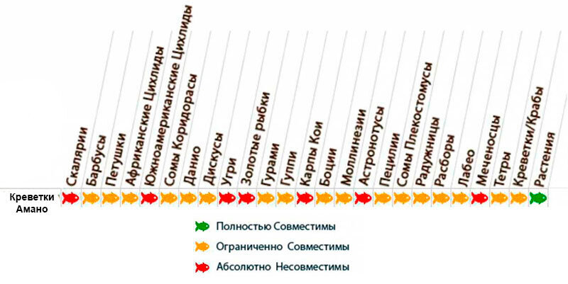 совместимость креветок. таблица совместимости золотых рыбок. совместимость креветок в аквариуме. схемы аквариумные рыбки совместимость. таблица совместимости креветок с аквариумными рыбками.