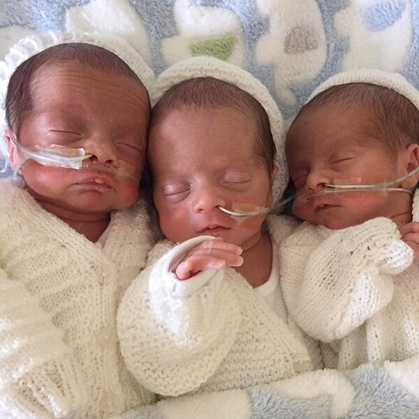 Роман, Рокко и Рохан, 31 неделя