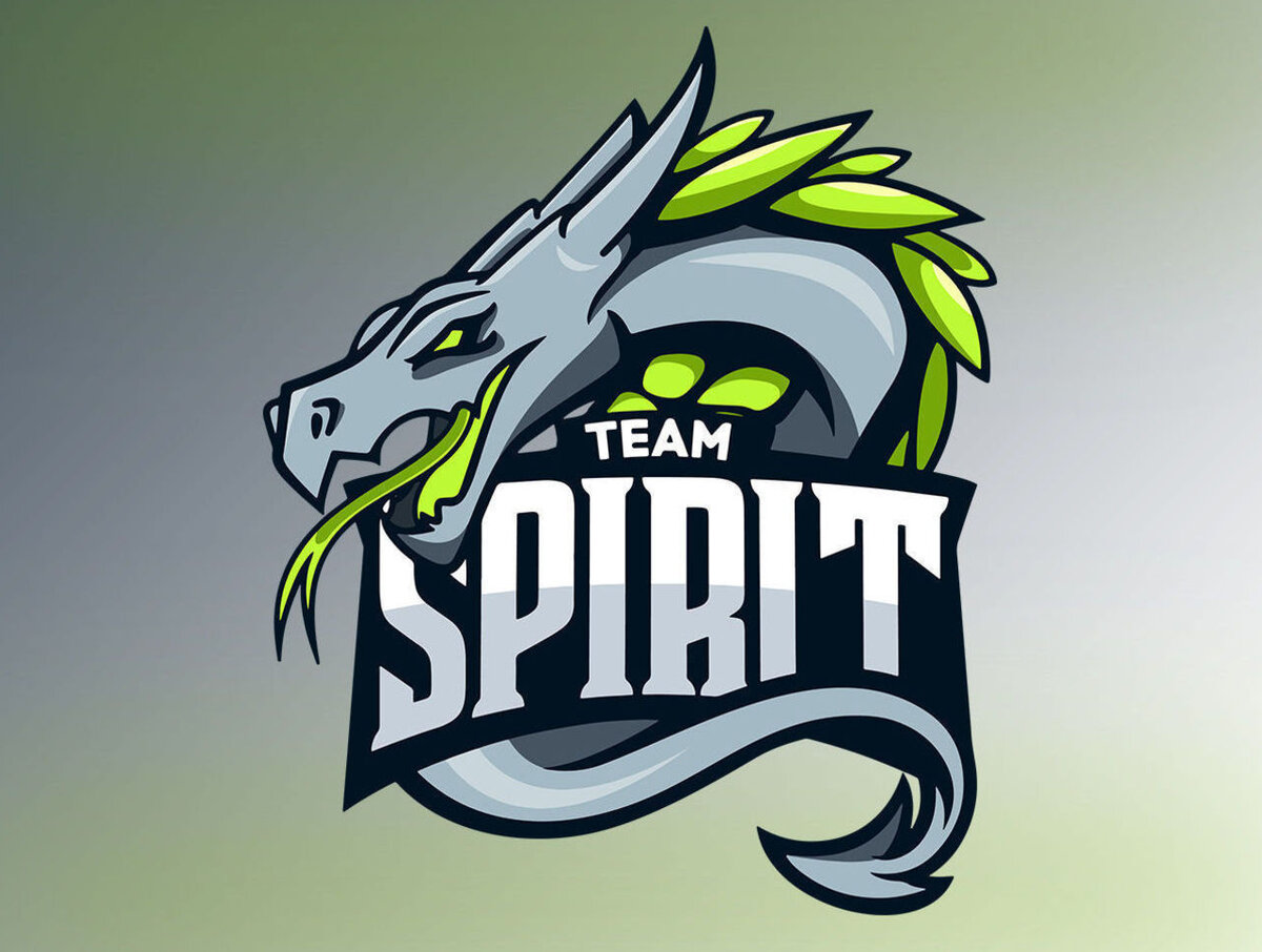 Team spirit картинки